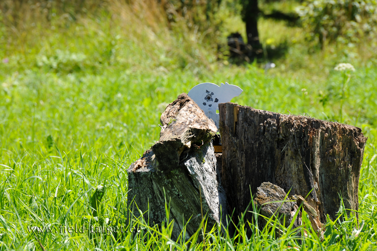 Albiino rott. Väga haruldane ja raske tabada